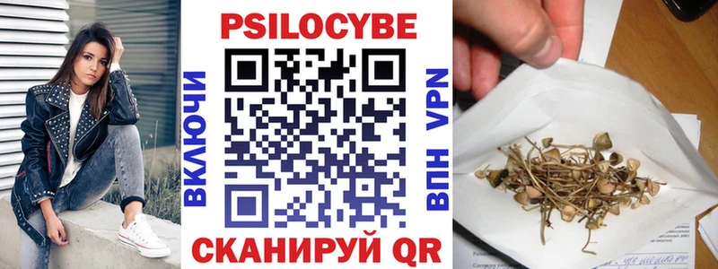 Псилоцибиновые грибы прущие грибы  мега ссылка  Десногорск  где купить наркоту 